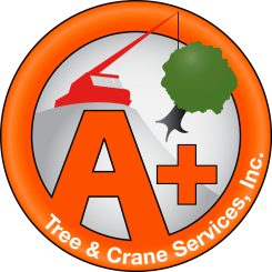 A+ Tree & Crane Service, Inc
