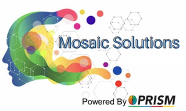 Mosaic Solutions